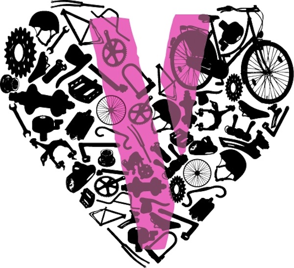 The VELOve Line: Professional Bicycle Repair Advice